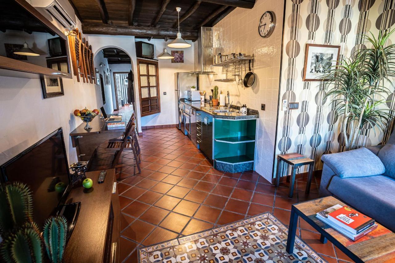 Versatil Apartamentos Zarza De Granadilla Exteriér fotografie